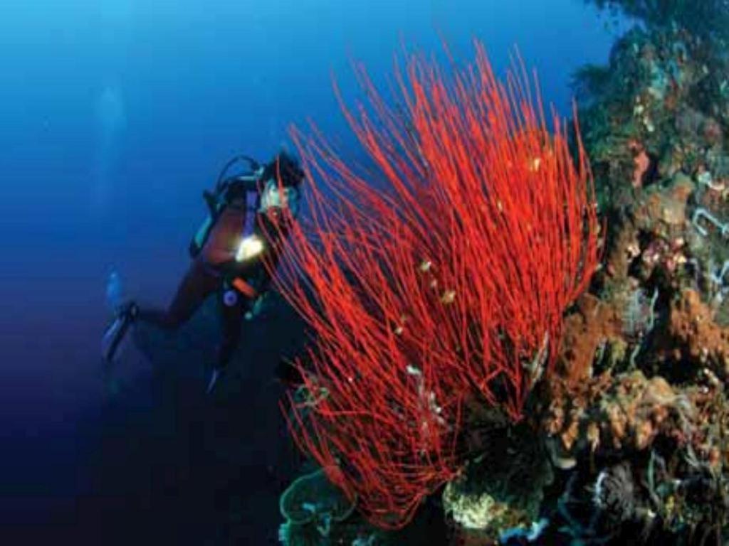 Tulamben Wreck Divers Resort & Restaurant Kültér fotó