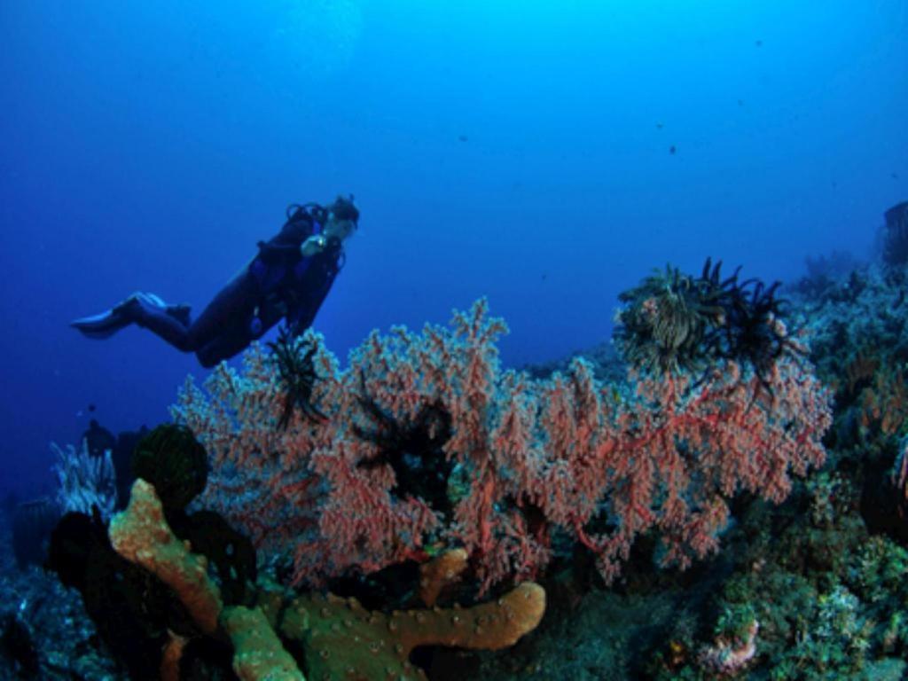 Tulamben Wreck Divers Resort & Restaurant Kültér fotó