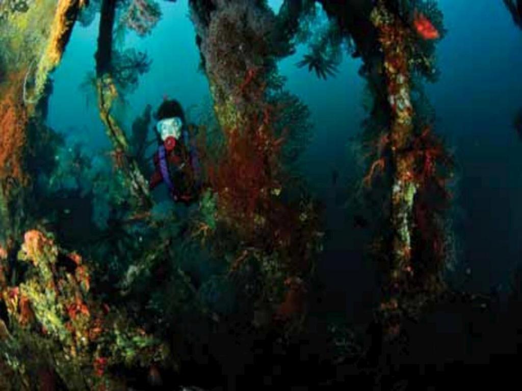 Tulamben Wreck Divers Resort & Restaurant Kültér fotó